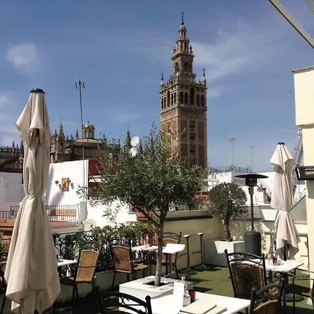 Hotel Palacio Alcazar-2
